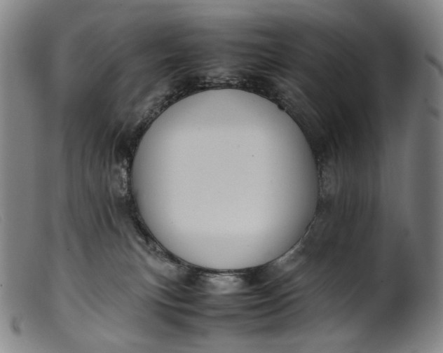 X0000099460183200805231815