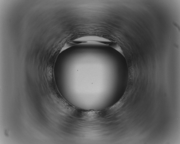 X0000099460184200805231815