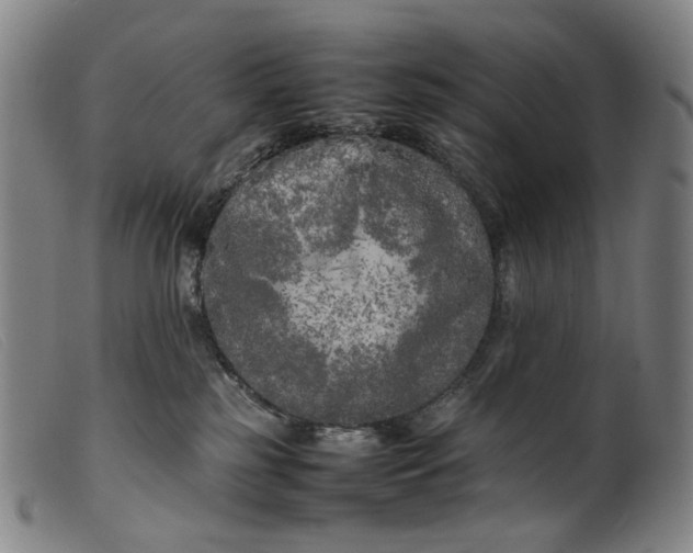 X0000099460185200805231815