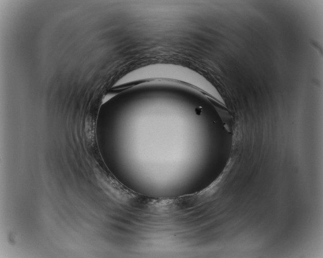 X0000099460186200805231815