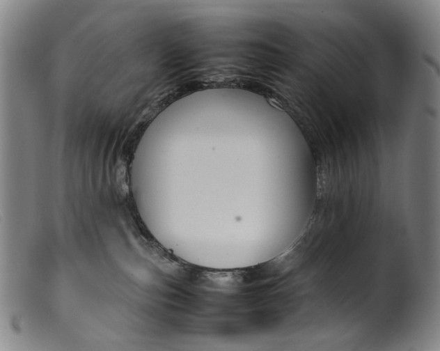 X0000099460187200805231815