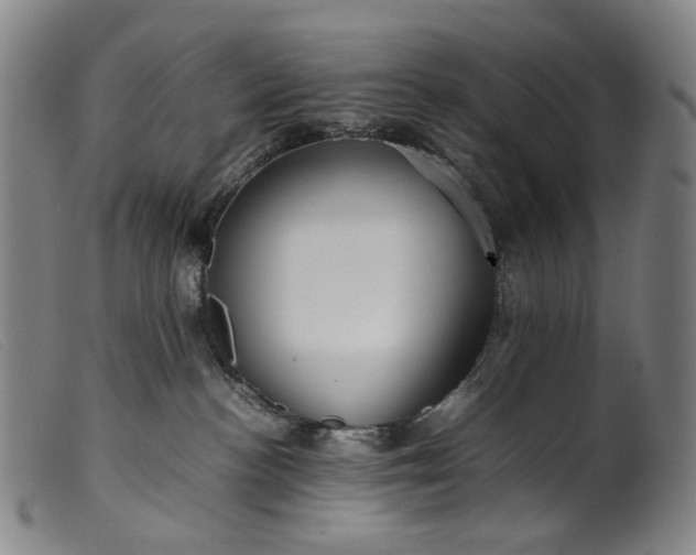 X0000099460188200805231815