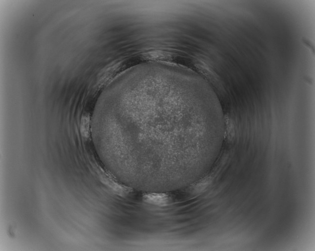 X0000099460189200805231815