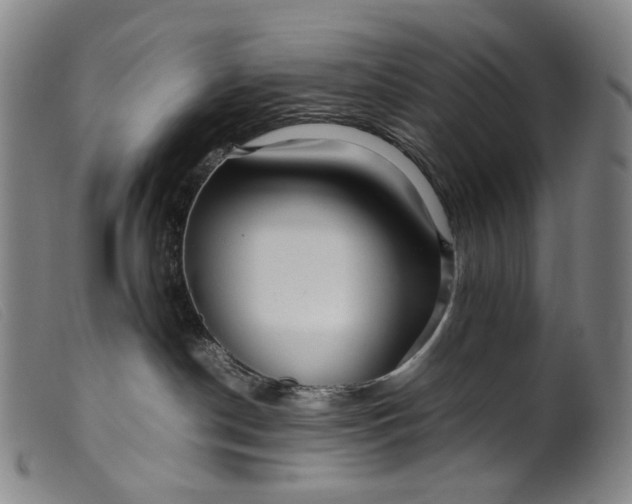 X0000099460190200805231815