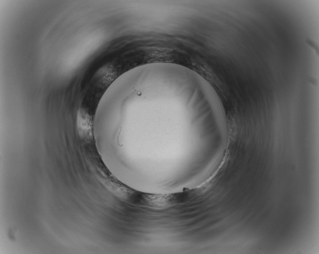 X0000099460191200805231815