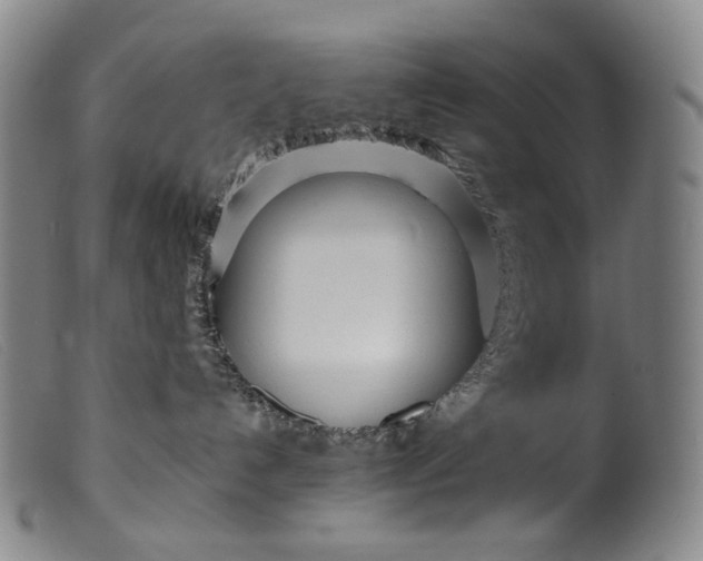 X0000099460192200805231815