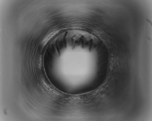 X0000099460194200805231814