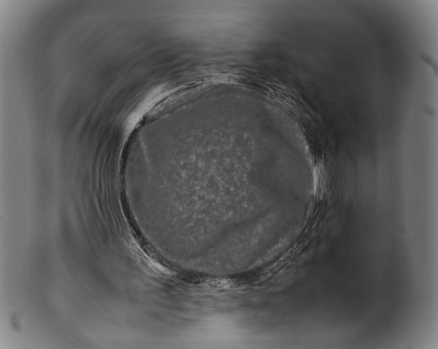 X0000099460195200805231814