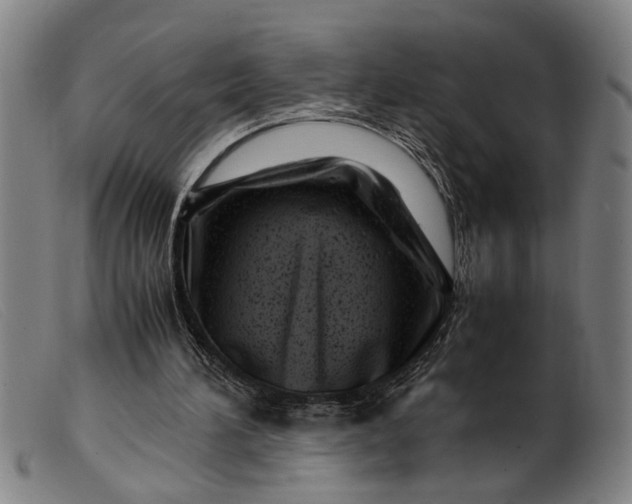 X0000099460196200805231814