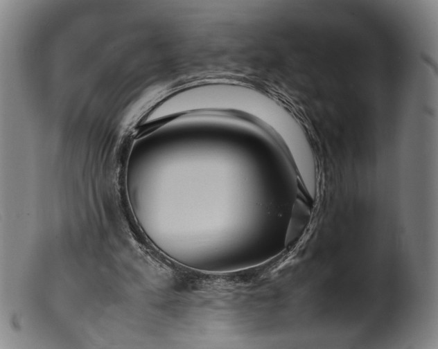 X0000099460197200805231814