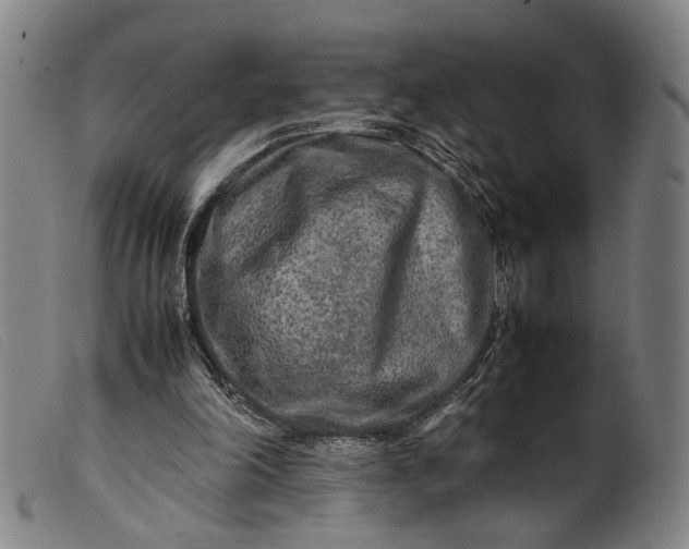 X0000099460198200805231814