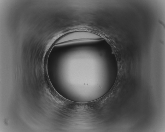 X0000099460200200805231814