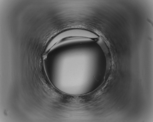 X0000099460201200805231814