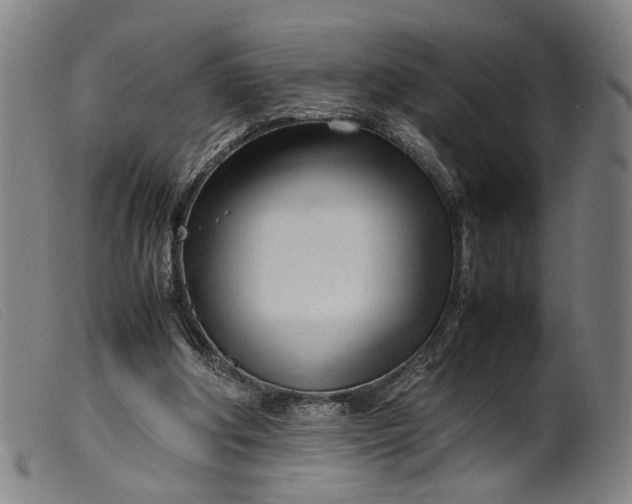 X0000099460202200805231814