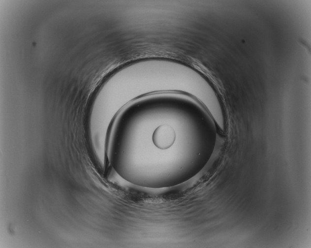 X0000099460203200805231814