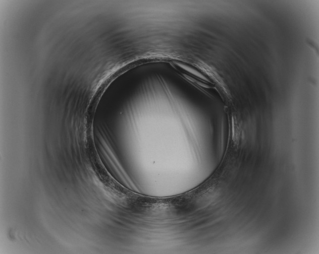 X0000099460204200805231814