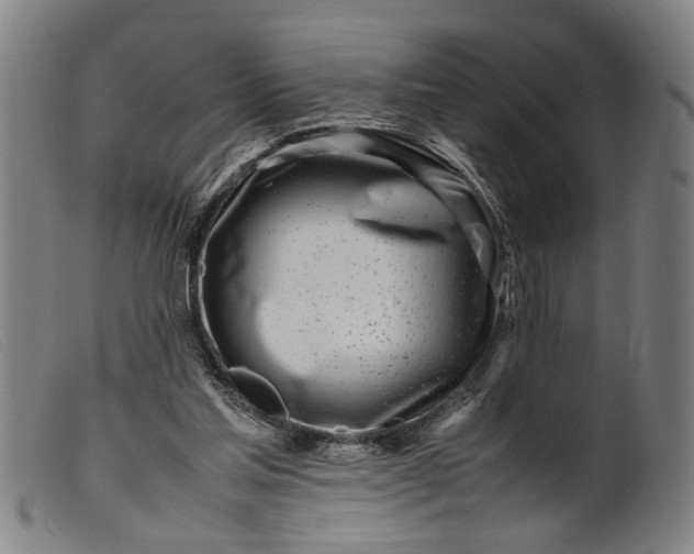 X0000099460205200805231814