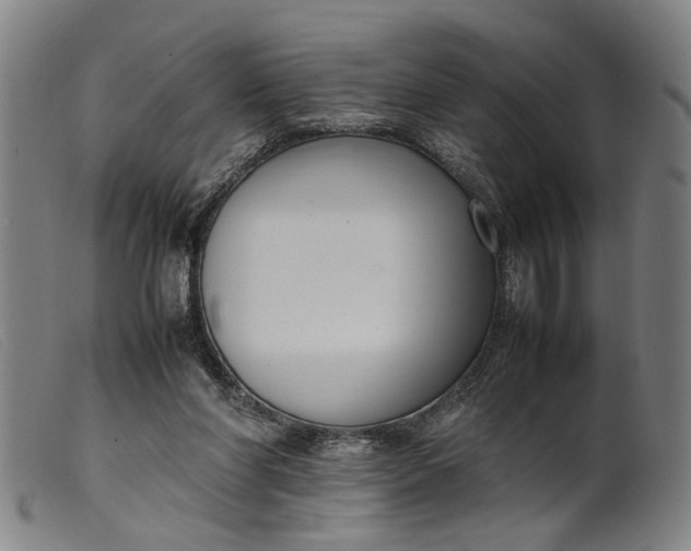 X0000099460206200805231814