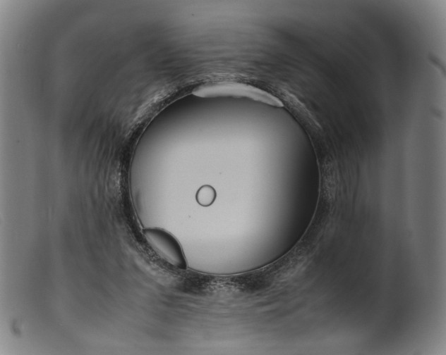 X0000099460207200805231814