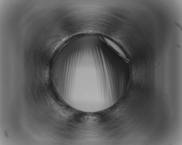 X0000099460208200805231814