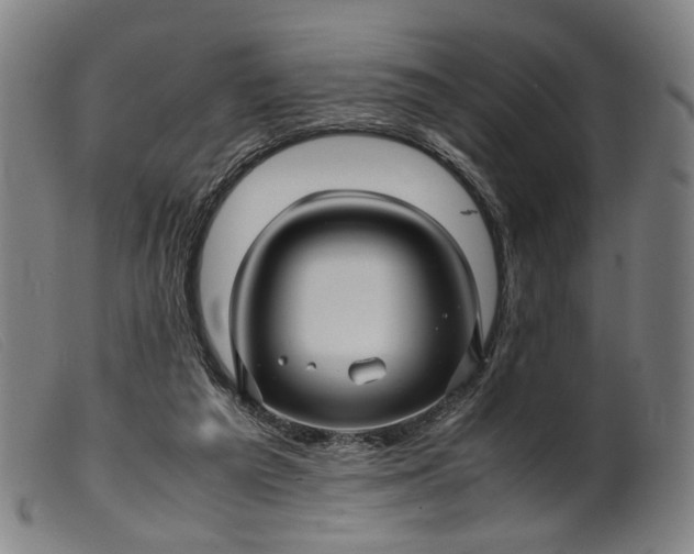 X0000099460209200805231814