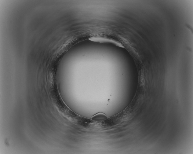 X0000099460211200805231814