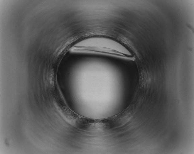 X0000099460212200805231814