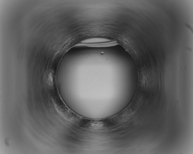 X0000099460214200805231814