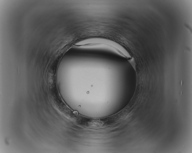 X0000099460215200805231814