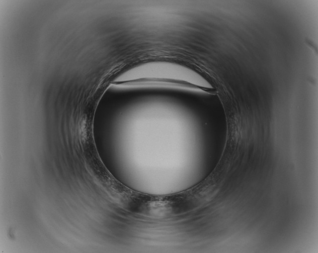 X0000099460216200805231814