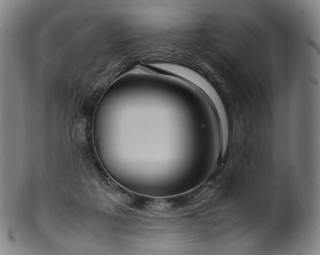 X0000099460217200805231814