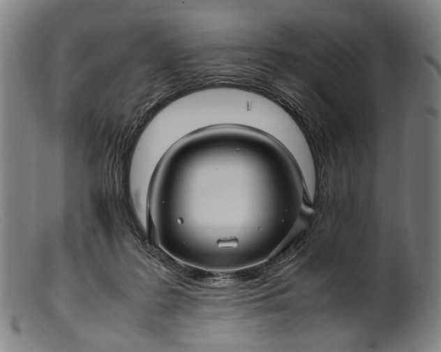 X0000099460219200805231814