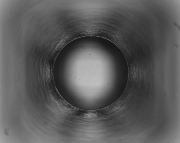 X0000099460220200805231814