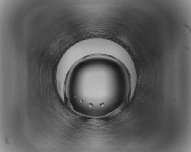 X0000099460221200805231814