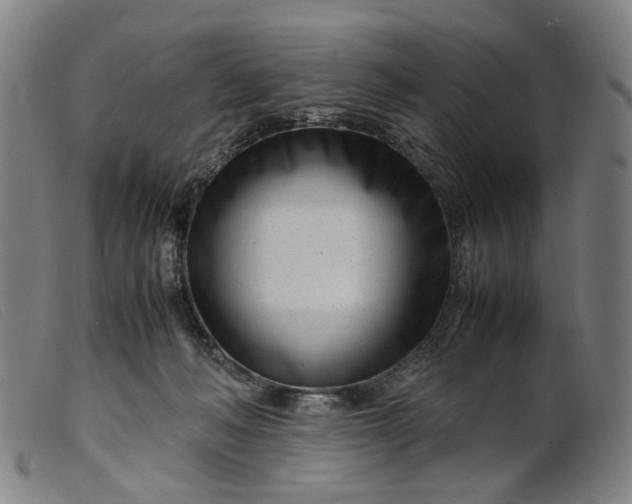 X0000099460222200805231814