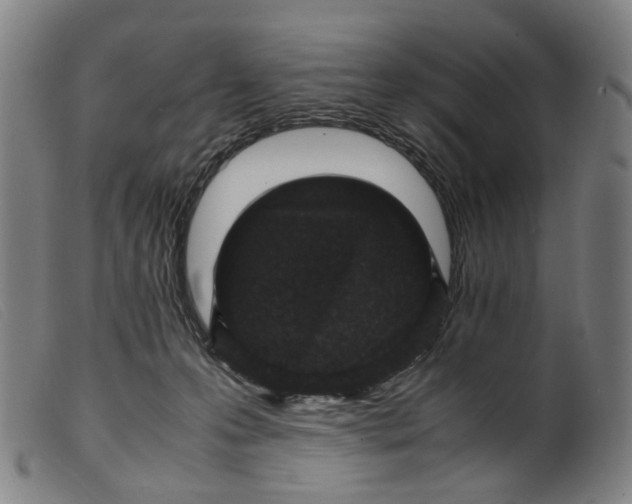 X0000099460223200805231814