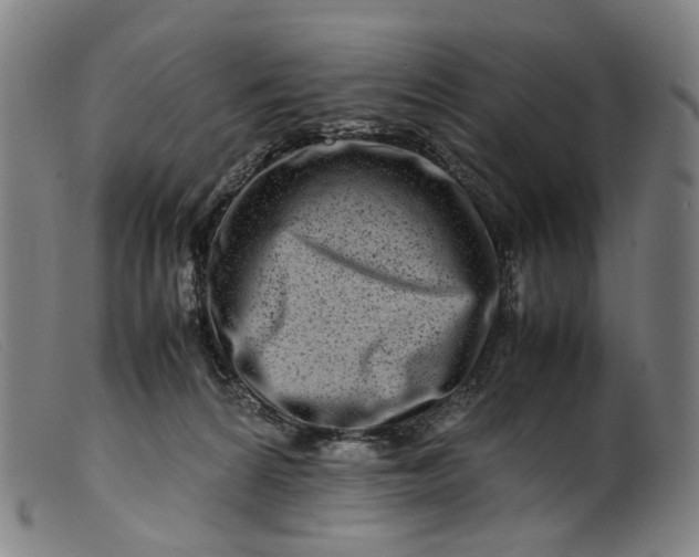 X0000099460224200805231814