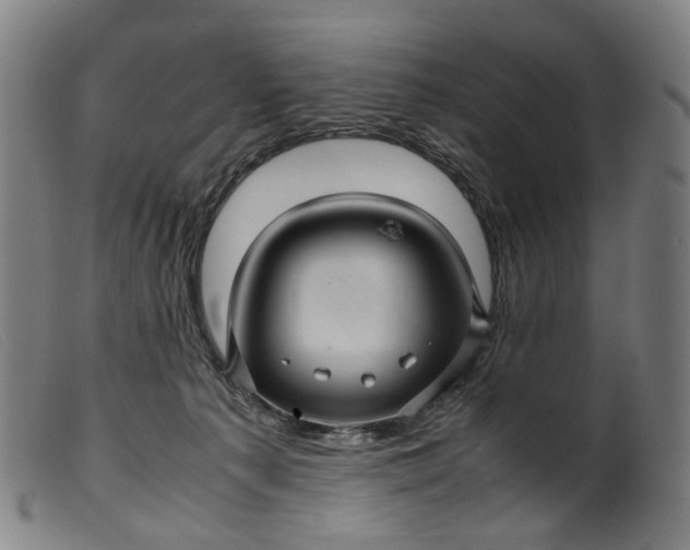 X0000099460225200805231814