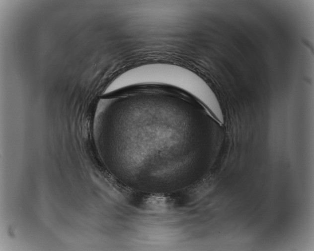 X0000099460227200805231814