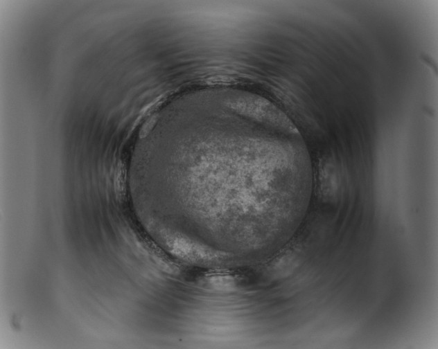 X0000099460228200805231814