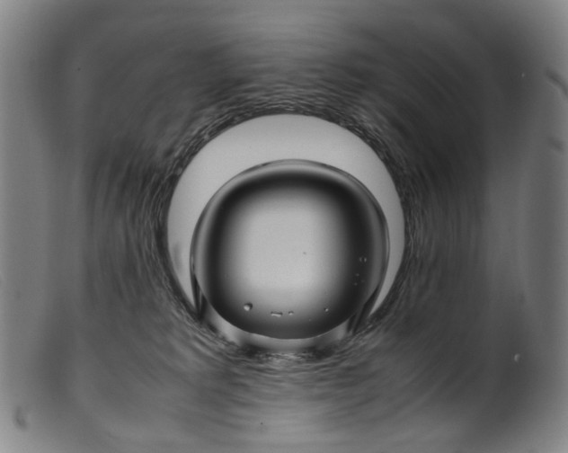 X0000099460229200805231814