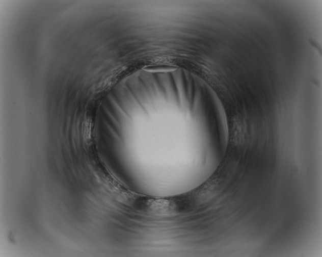 X0000099460230200805231814