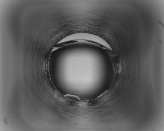 X0000099460233200805231814