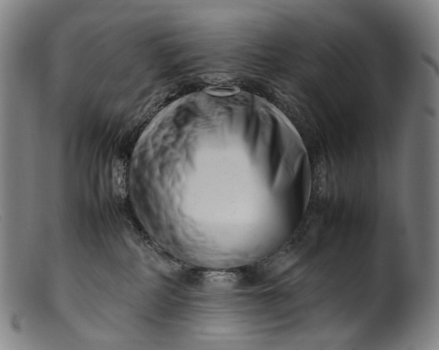 X0000099460234200805231813