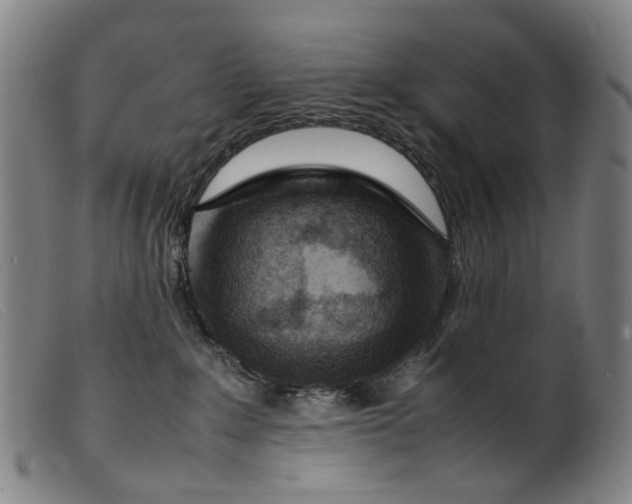 X0000099460235200805231813