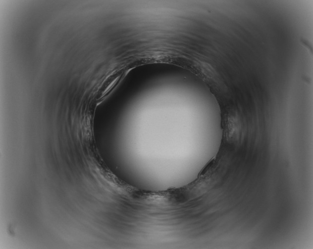 X0000099460236200805231813