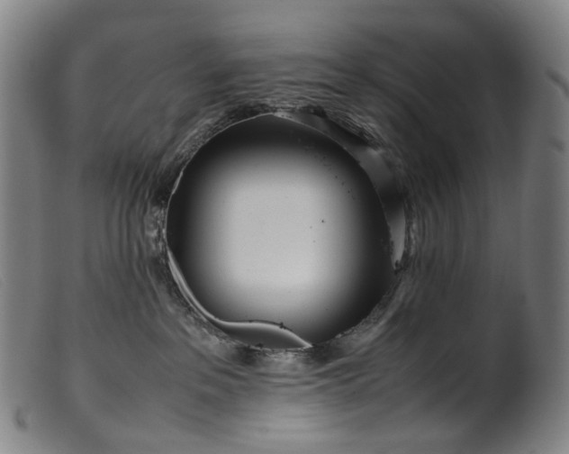 X0000099460237200805231813