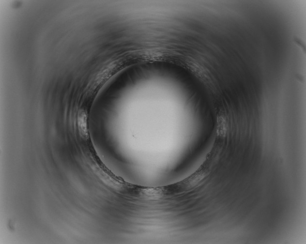 X0000099460238200805231813