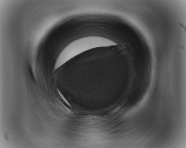 X0000099460239200805231813