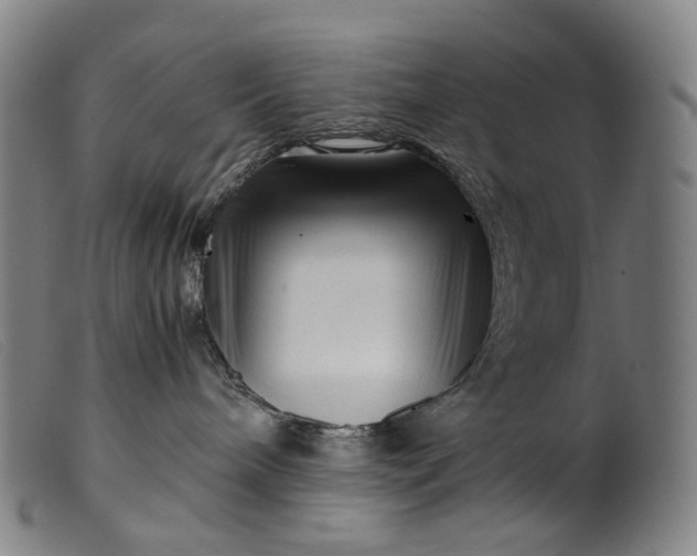 X0000099460240200805231813